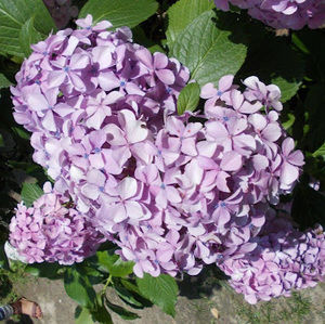 Meet your Posher, Chandanpreet